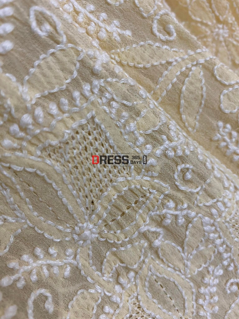 Beige Hand Jaali Chikankari Anarkali Suit