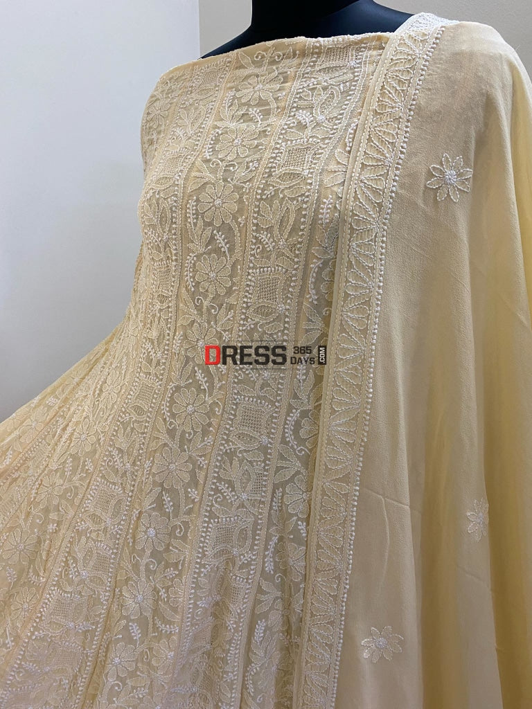 Beige Hand Jaali Chikankari Anarkali Suit