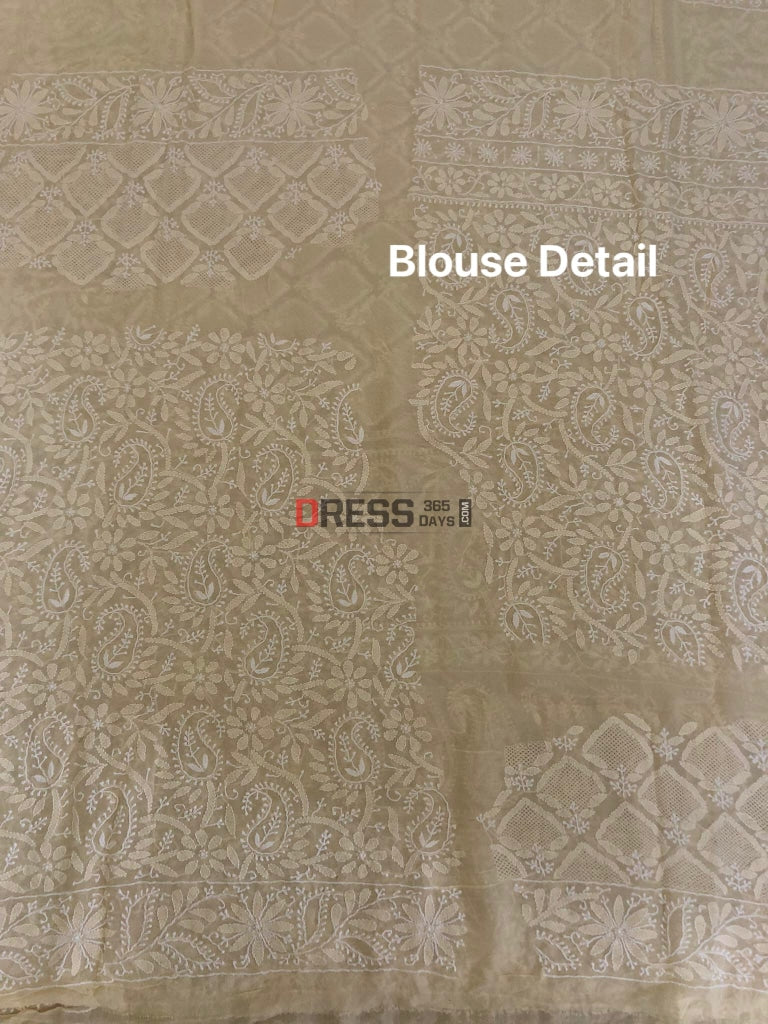 Beige Jaali Work Chikankari Lehenga Set