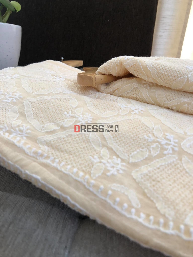 Beige Jaali Work Chikankari Lehenga Set