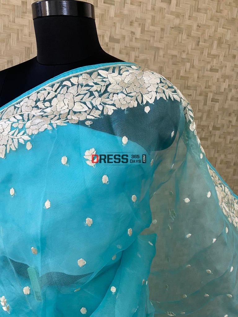 Blue Organza Parsi Gara Saree