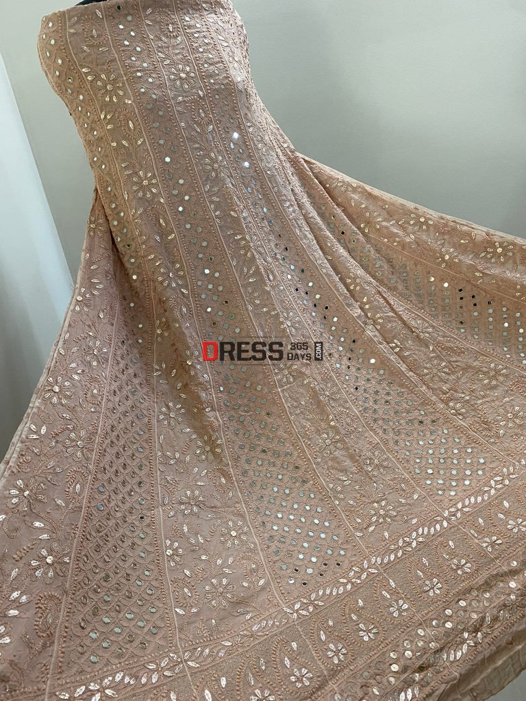Fawn Mirror & Gota Patti Chikankari Anarkali Suit