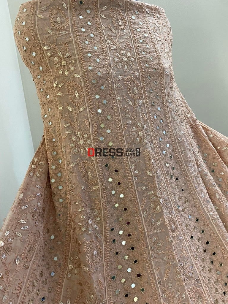 Fawn Mirror & Gota Patti Chikankari Anarkali Suit