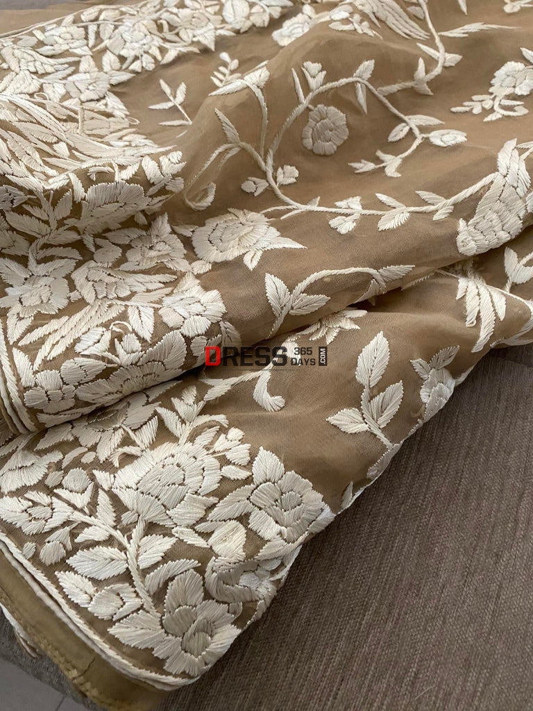 Gara Praid Pre Order Fawn Organza Parsi Gara Gara Hand Embroidered Saree ...
