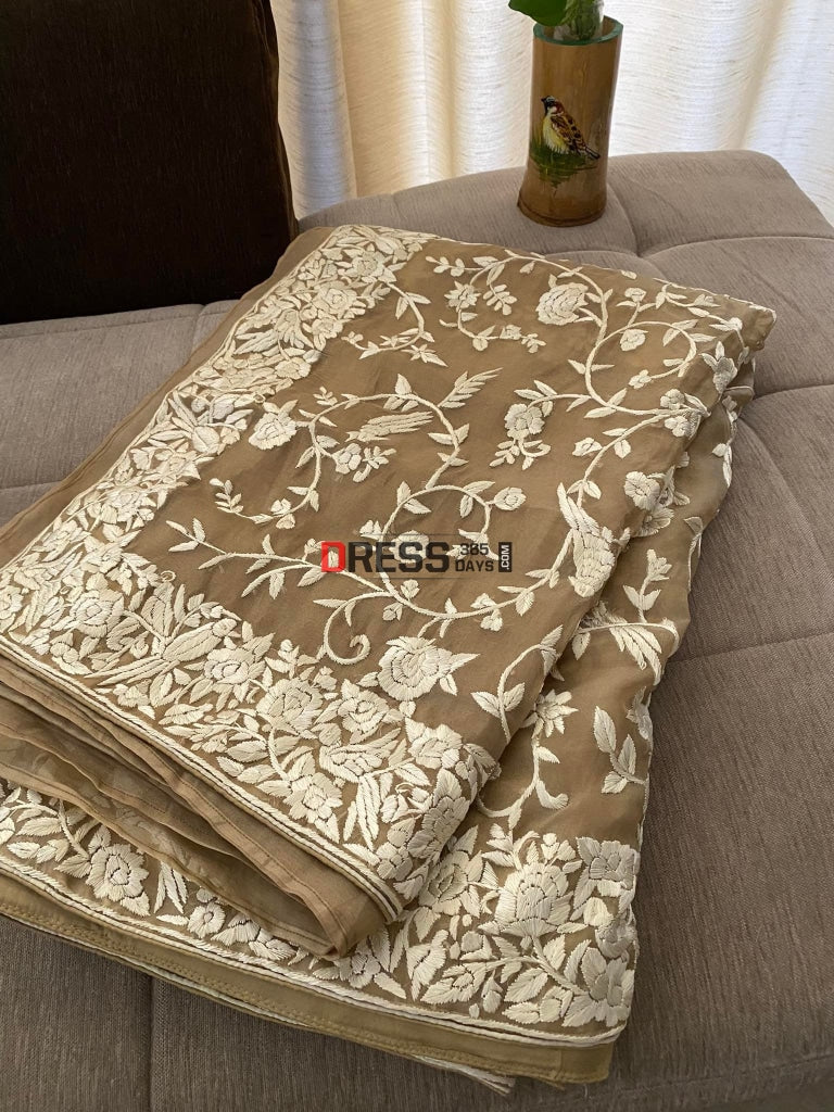 Gara Praid Pre Order Fawn Organza Parsi Gara Gara Hand Embroidered Saree ...