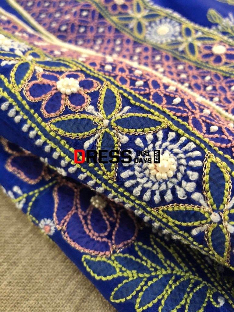 Fine Organza Multicolour Chikankari Suit Suits