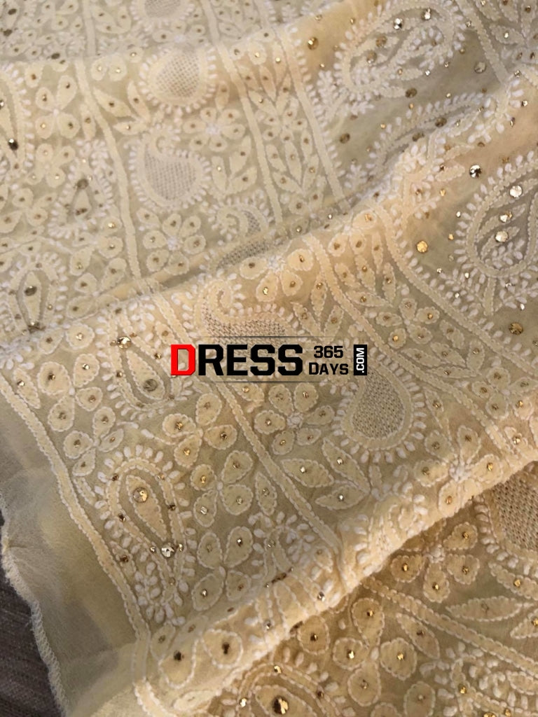Hand Jaali & Kamdani Work Chikanakari Lehegna Set Chikankari Lehenga
