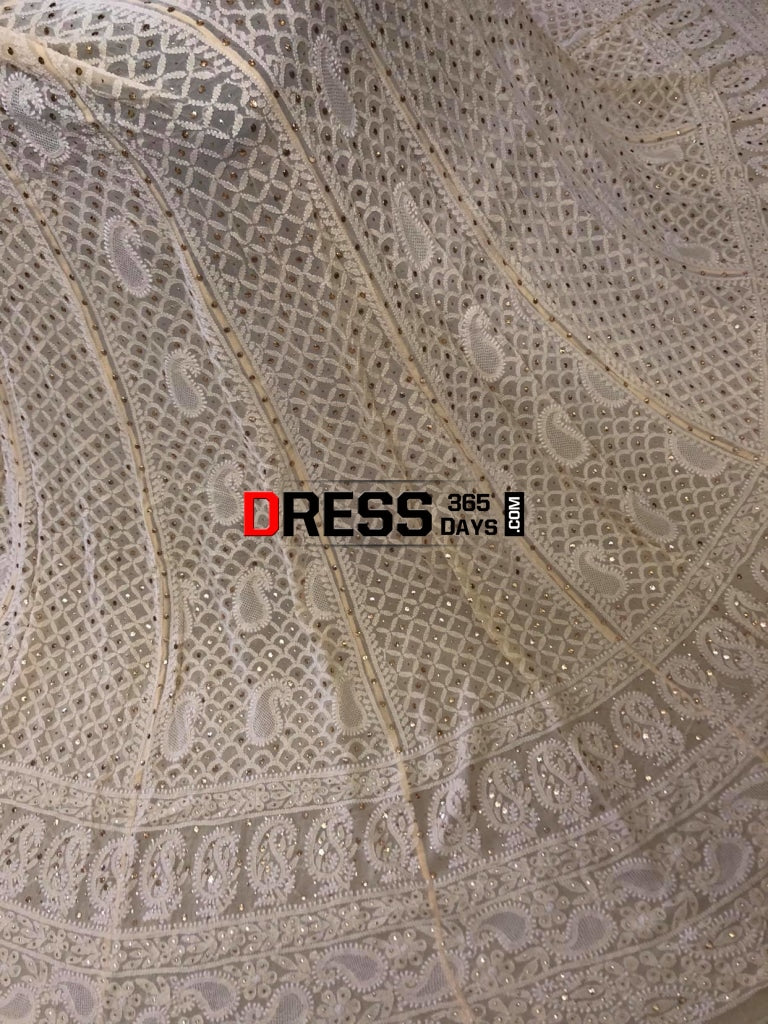 Hand Jaali & Kamdani Work Chikanakari Lehegna Set Chikankari Lehenga