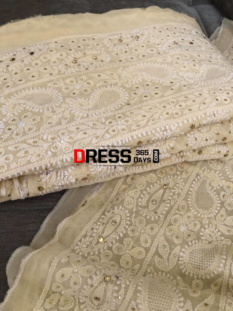 Hand Jaali & Kamdani Work Chikanakari Lehegna Set Chikankari Lehenga