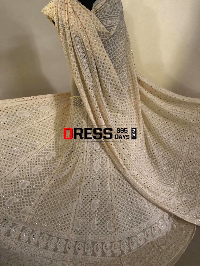 Hand Jaali & Kamdani Work Chikanakari Lehegna Set Chikankari Lehenga
