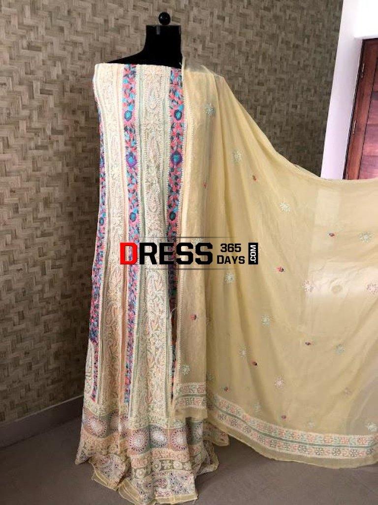 Multicolour Lucknowi Chikankari Anarkali Suit