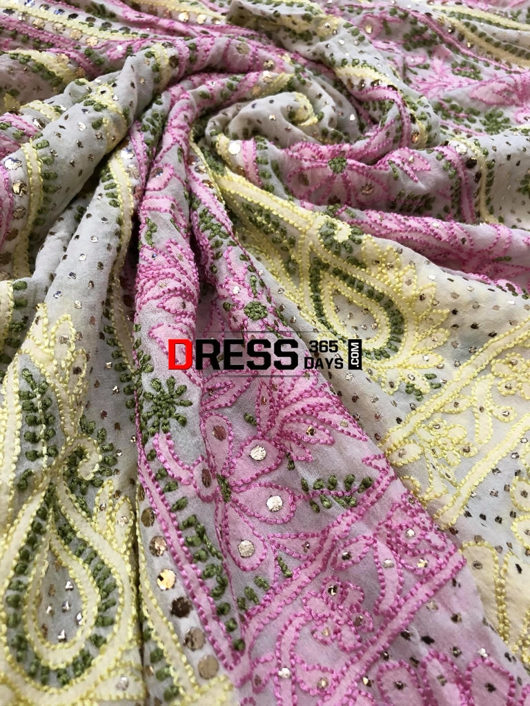 Multicolour Resham Chikankari Anarkali Suit