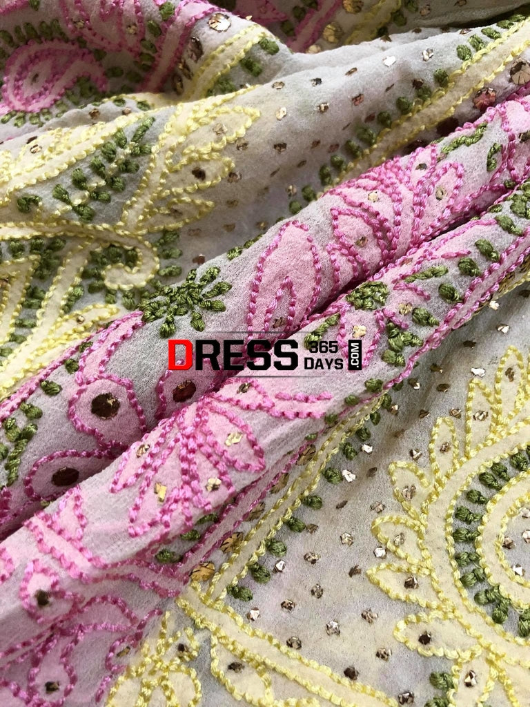 Multicolour Resham Chikankari Anarkali Suit