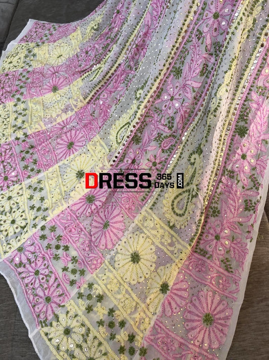 Multicolour Resham Chikankari Anarkali Suit