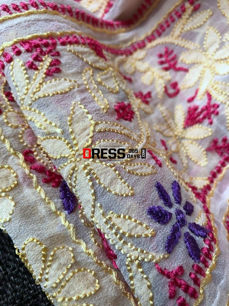 Multicolour Resham Work Chikankari Anarkali Suit (Anarkali And Dupatta)