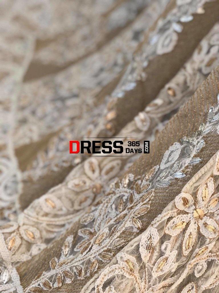 Net Gota Patti Chikankari Anarkali (Only Anarkali)