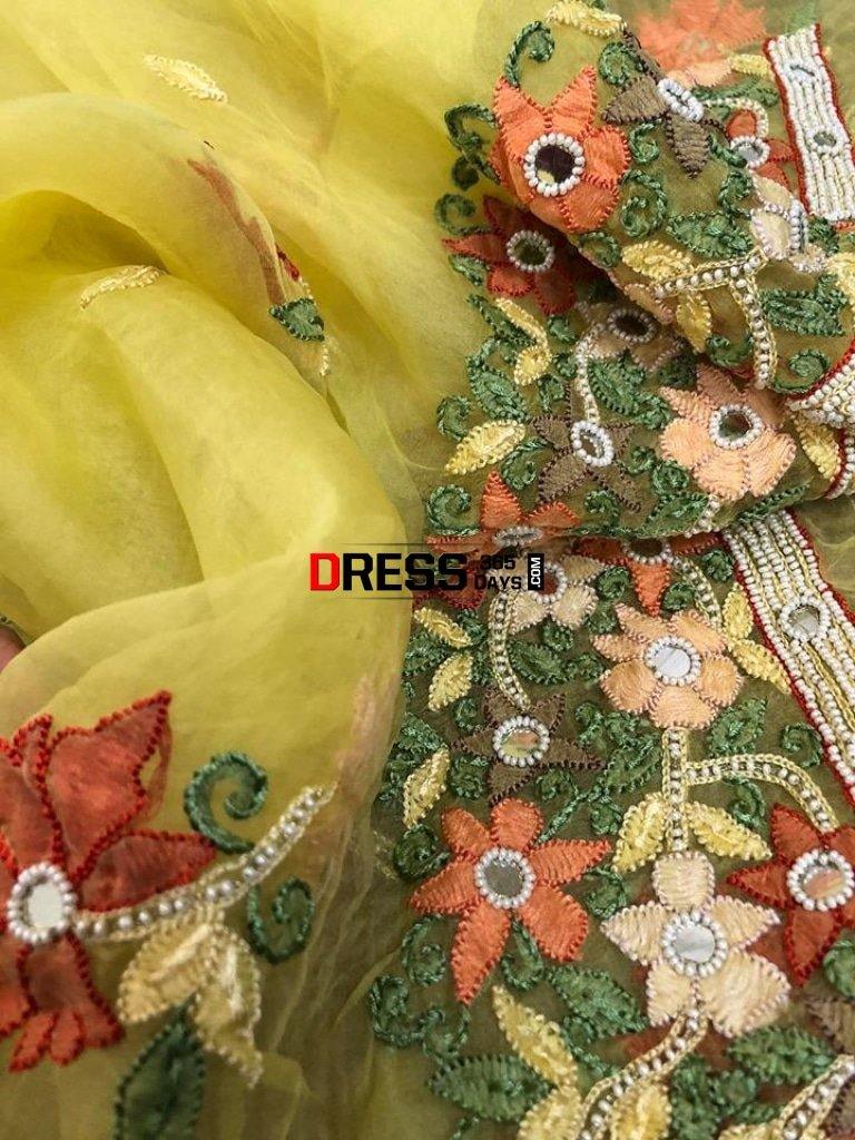 Organza Beads And Chikankari Suit Suits