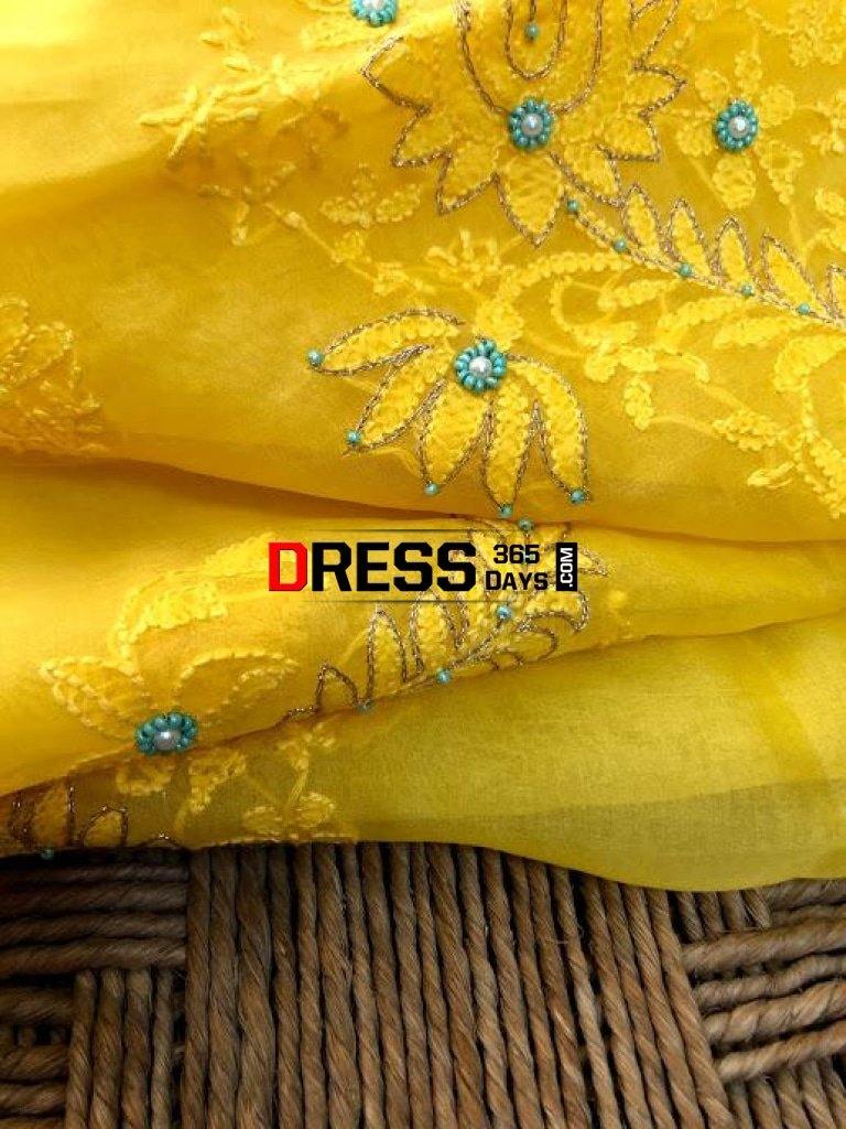Organza Chikankari Beads Aari Zari Suit Suits