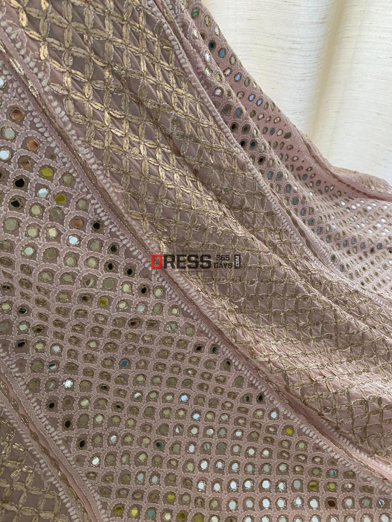 Pastel Pink Chikankari Mirror & Gota Patti Lehenga Set