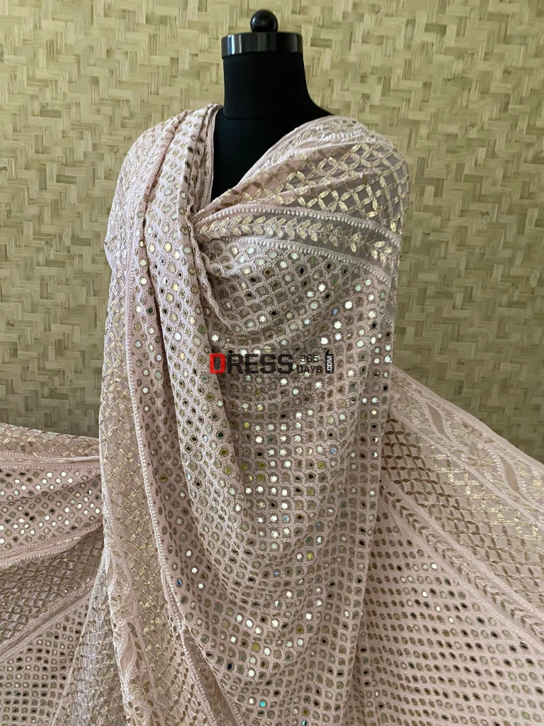 Pastel Pink Chikankari Mirror & Gota Patti Lehenga Set