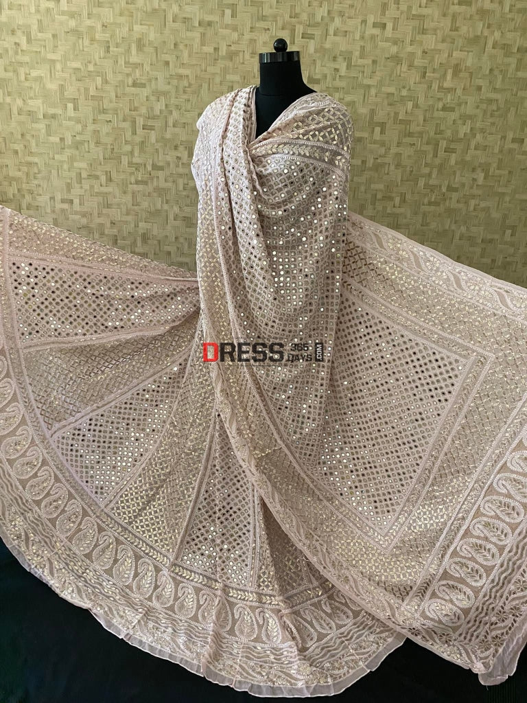 Pastel Pink Chikankari Mirror & Gota Patti Lehenga Set
