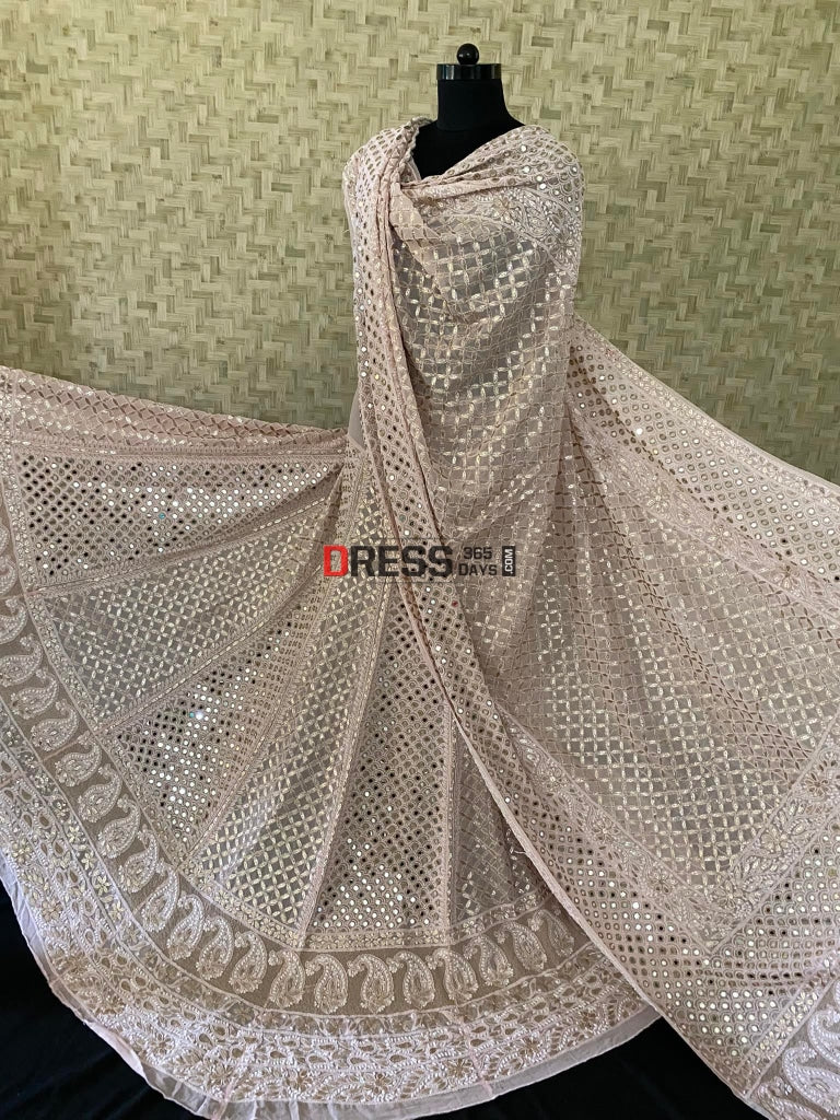 Pastel Pink Lucknowi Mirror & Gota Patti Lehenga Set Chikankari