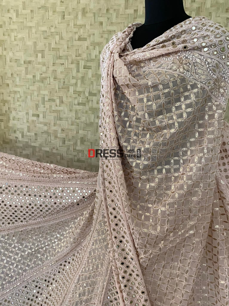 Pastel Pink Lucknowi Mirror & Gota Patti Lehenga Set Chikankari