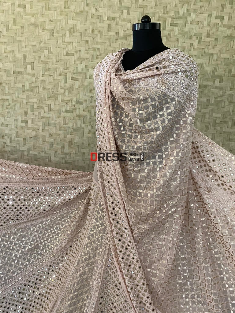 Pastel Pink Lucknowi Mirror & Gota Patti Lehenga Set Chikankari