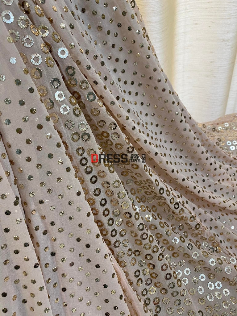 Pastel Pink Ring Mukaish/Kamdani Lehenga Set Kamdani