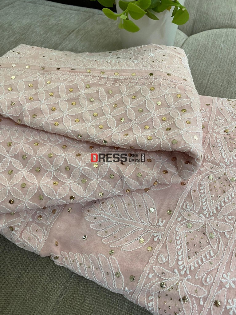 Peachy Pink Mukaish Chikankari Lehenga Skirt (Only Skirt)