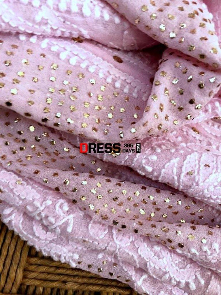 Powder Pink Mukaish Chikankari Anarkali Suit (Anarkali And Dupatta)