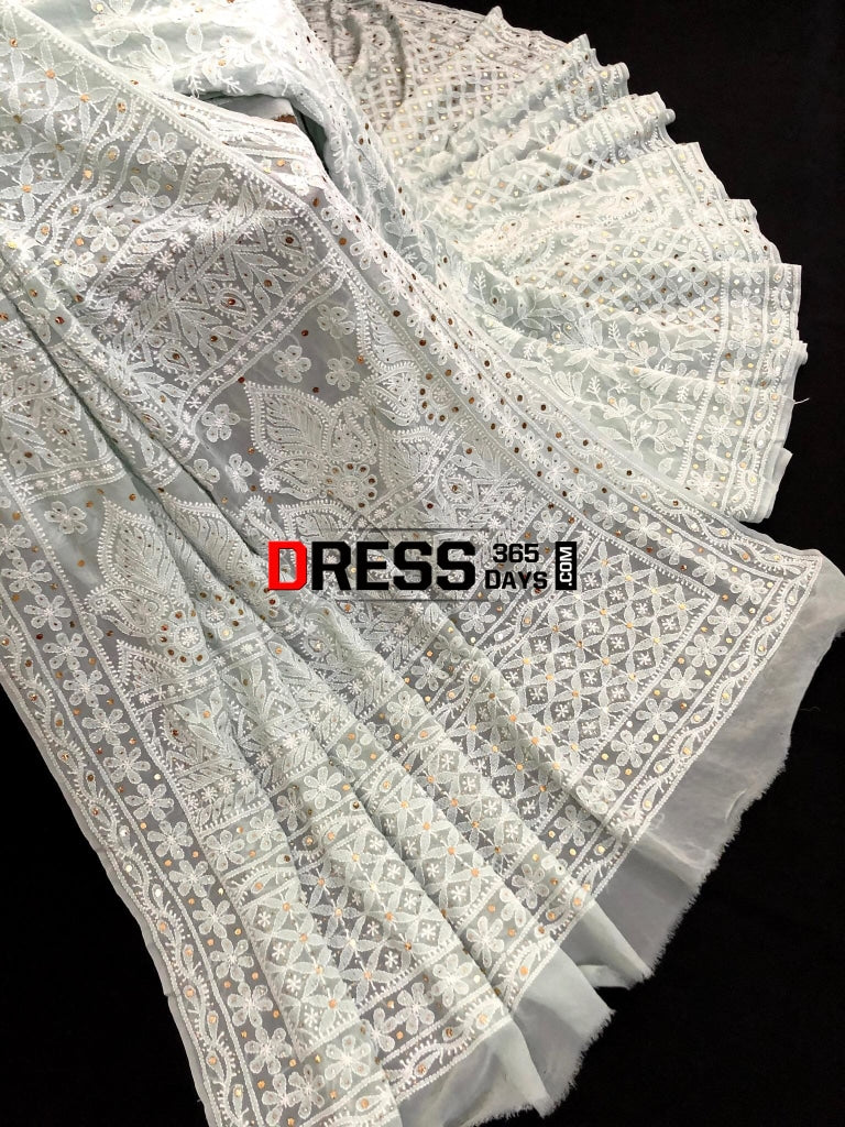 Sage Green Kamdani & Chikankari Saree