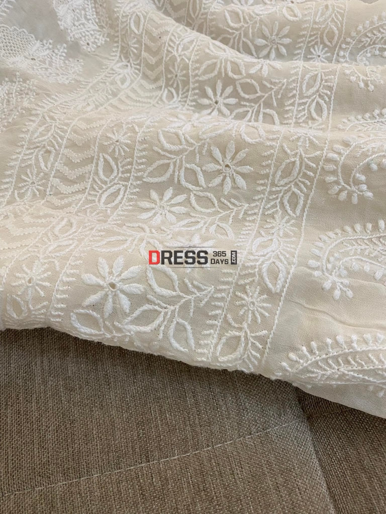 Superfine Hand Jaali Lucknow Chikankari Saree